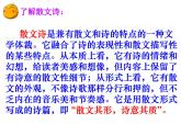 人教部编语文七年级上 荷叶  母亲2 课件