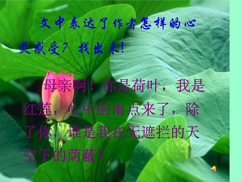 人教部编语文七年级上 荷叶  母亲2 课件06
