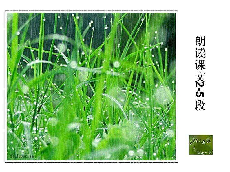 人教部编语文七年级上 雨的四季3 课件03