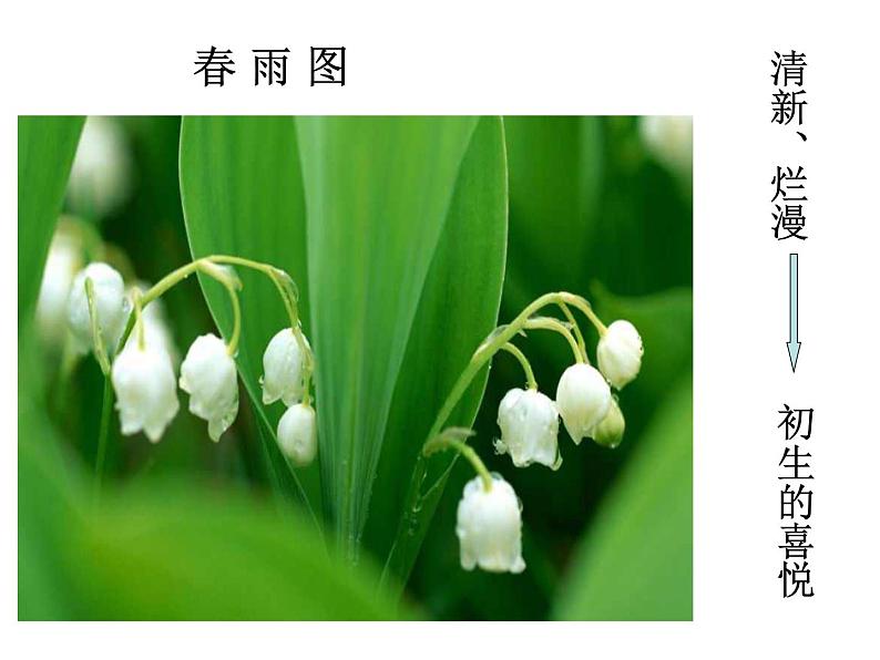 人教部编语文七年级上 雨的四季3 课件05