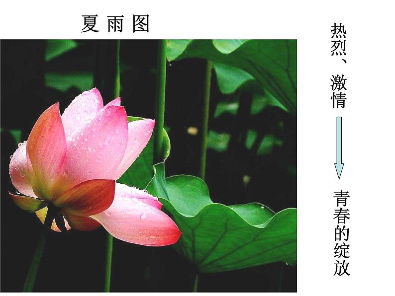 人教部编语文七年级上 雨的四季3 课件06