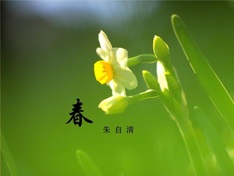 人教部编语文七年级上 春6 课件03