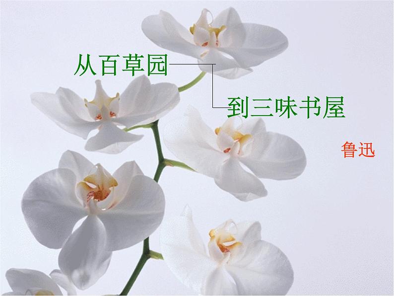 人教部编语文七年级上 从百草园到三味书屋3 课件01