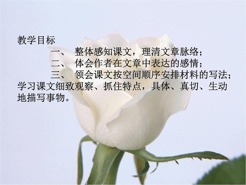 人教部编语文七年级上 从百草园到三味书屋3 课件02