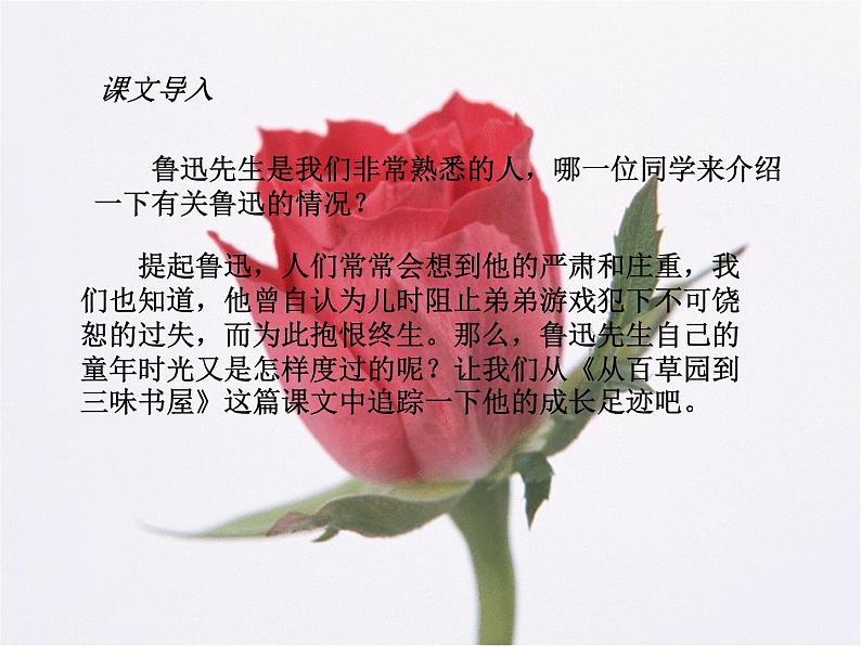 人教部编语文七年级上 从百草园到三味书屋3 课件03