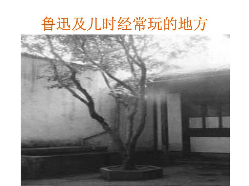 人教部编语文七年级上 从百草园到三味书屋3 课件05