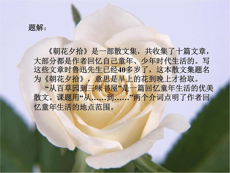 人教部编语文七年级上 从百草园到三味书屋3 课件07