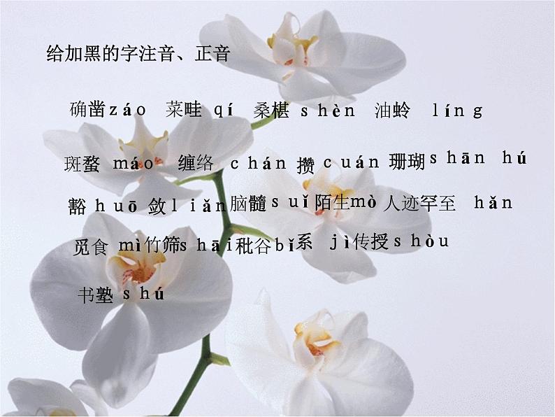 人教部编语文七年级上 从百草园到三味书屋3 课件08