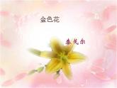 人教部编语文七年级上 金色花6 课件