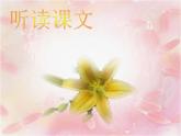 人教部编语文七年级上 金色花6 课件