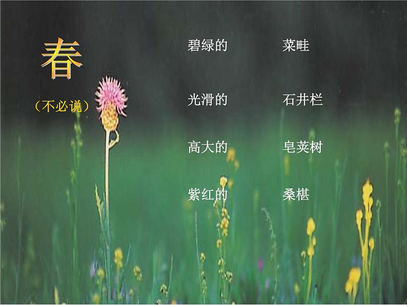 人教部编语文七年级上 从百草园到三味书屋2 课件04