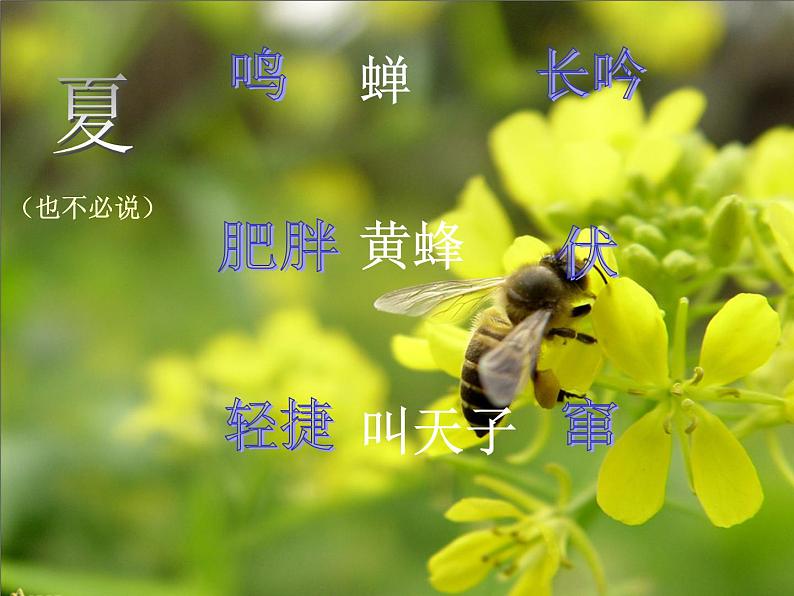人教部编语文七年级上 从百草园到三味书屋2 课件05