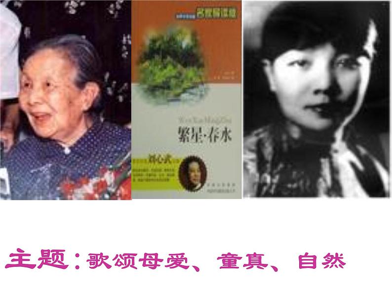 人教部编语文七年级上 荷叶  母亲1 课件04