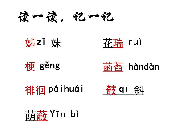 人教部编语文七年级上 荷叶  母亲1 课件05