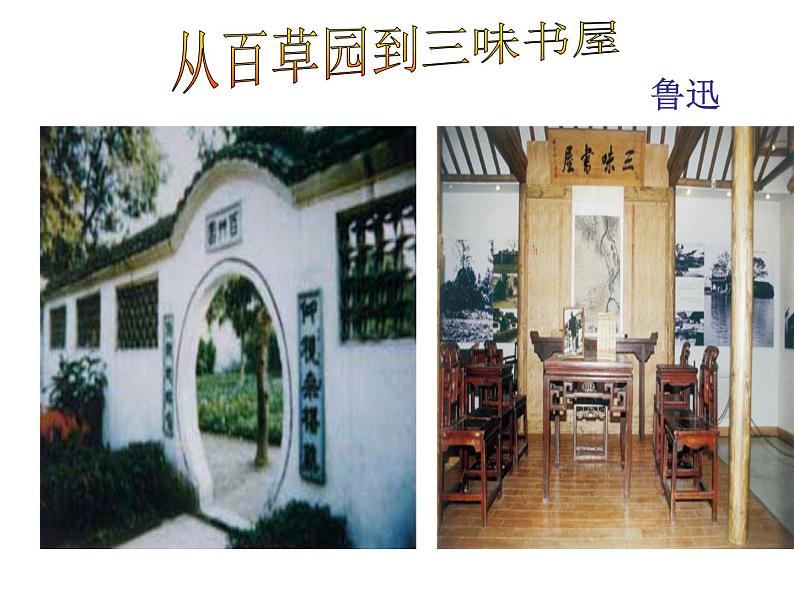 人教部编语文七年级上 从百草园到三味书屋4 课件04