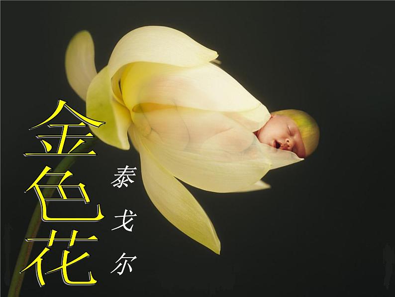 人教部编语文七年级上 金色花1 课件02