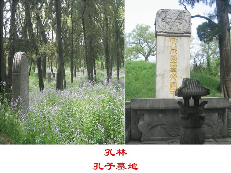 人教部编语文七年级上 《论语》十二章5 课件第6页