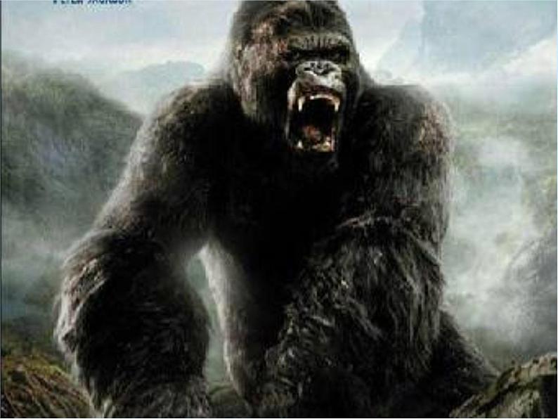 人教部编语文七年级上 猫3 课件08