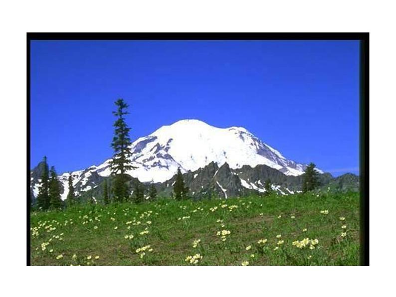 人教部编语文七年级上 女娲造人1 课件02