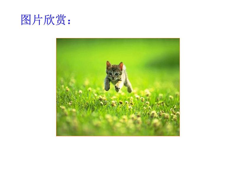 人教部编语文七年级上 猫2(1) 课件03