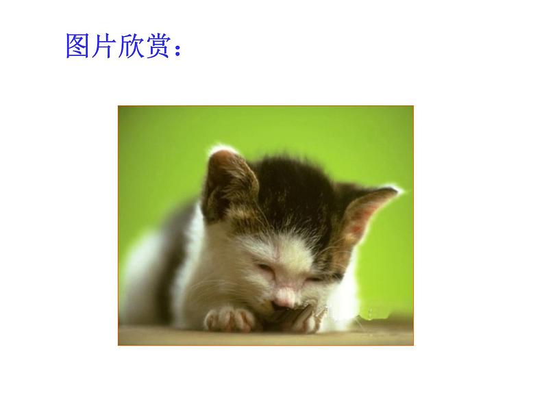 人教部编语文七年级上 猫2(1) 课件05