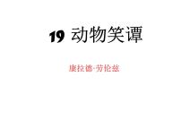 人教部编版七年级上册17*动物笑谈教案配套ppt课件