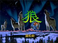 语文七年级上册第五单元18 狼集体备课ppt课件