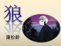 语文七年级上册18 狼授课课件ppt