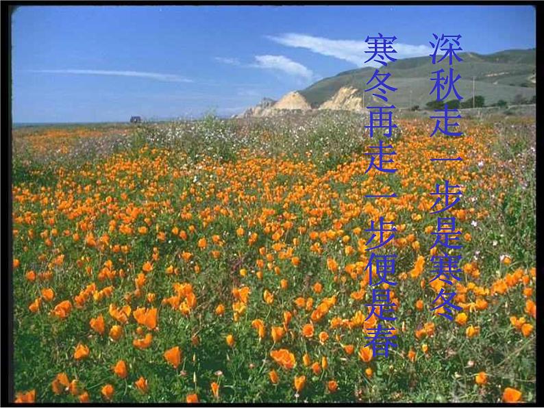 人教部编语文七年级上 走一步，再走一步1 课件第5页