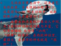初中语文人教部编版七年级上册18 狼教案配套课件ppt