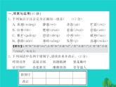 人教部编七年级语文上册第1单元测试课件（含答案）