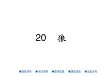 2020-2021学年18 狼图片课件ppt