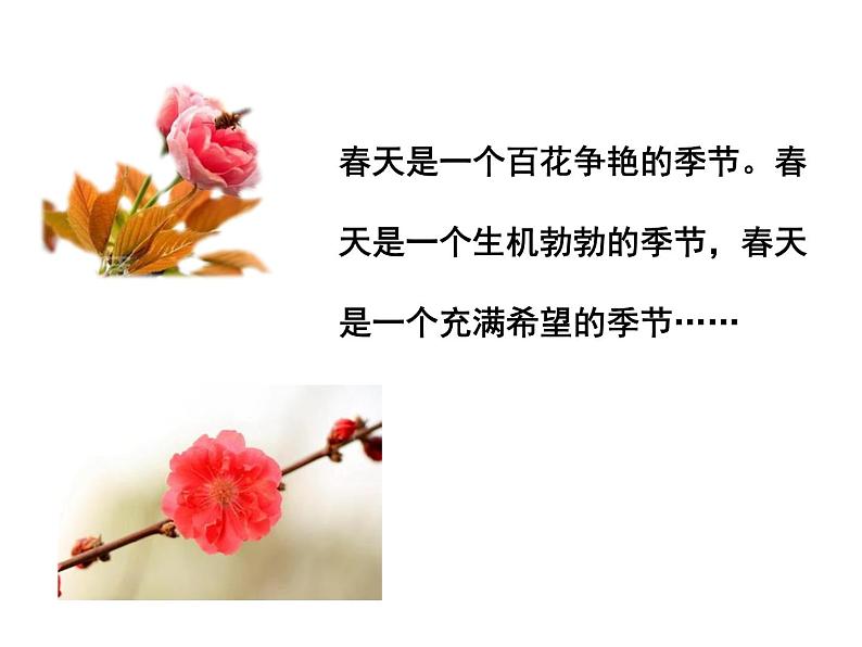人教部编七年级语文上册教学课件-1 春 （共46张PPT）05
