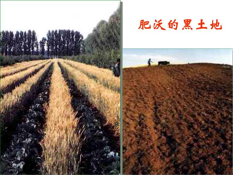 部编版语文七年级下册土地的誓言 1 课件02