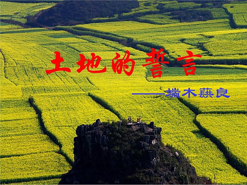 部编版语文七年级下册土地的誓言5 课件第1页