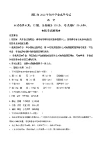精品解析：湖北省荆门市2020年中考语文试题（原卷版）