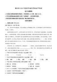 精品解析：湖北省黄石市2020年中考语文试题（解析版）