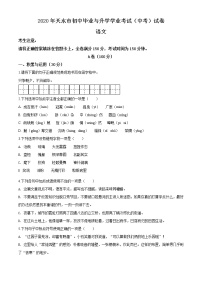 精品解析：甘肃省天水市2020年中考语文试题（原卷版）