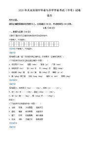 精品解析：甘肃省天水市2020年中考语文试题（解析版）