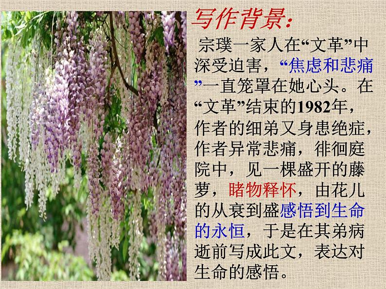 部编版语文七年级下册紫藤萝瀑布4 课件07