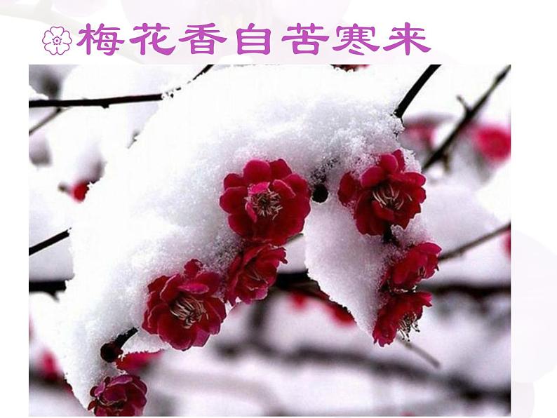 部编版语文七年级下册紫藤萝瀑布3 课件第5页