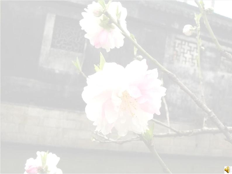 部编版语文七年级下册一棵小桃树  1 课件01