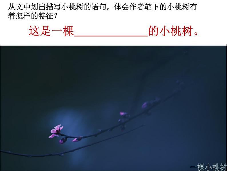 部编版语文七年级下册一棵小桃树  1 课件02