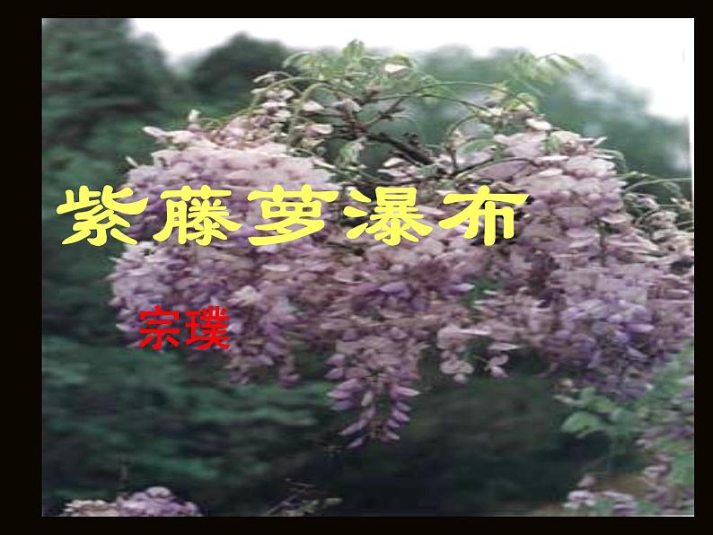 部编版语文七年级下册紫藤萝瀑布1 课件第6页