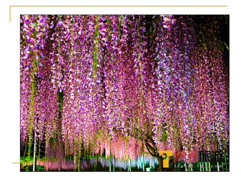部编版语文七年级下册紫藤萝瀑布2 课件01