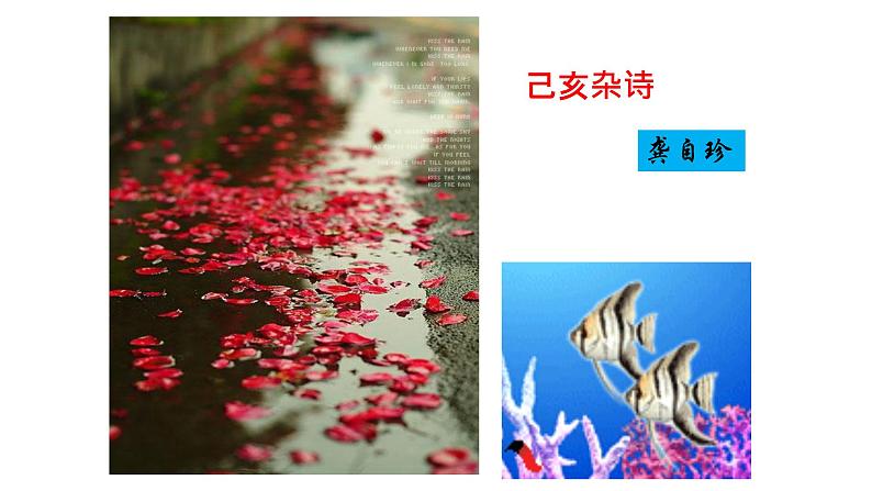 部编版语文七年级下册20 己亥杂诗  主课件 课件第1页