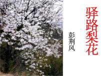 人教部编版15 驿路梨花图片ppt课件