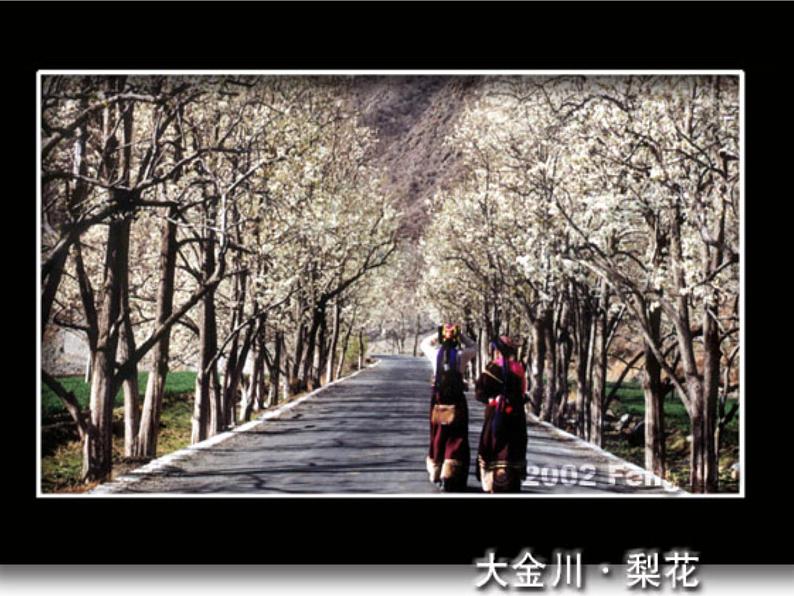 部编版语文七年级下册14 驿路梨花  主课件 课件05