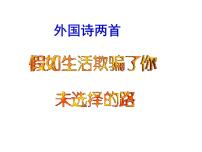 初中语文人教部编版七年级下册未选择的路说课ppt课件