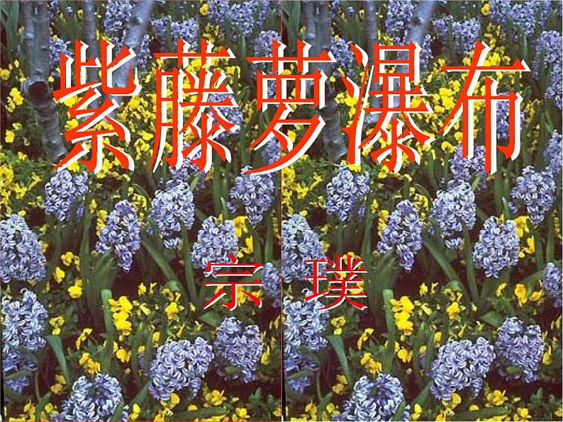 部编版语文七年级下册紫藤萝瀑布7 课件01